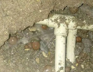 聂拉木卫生间测漏
