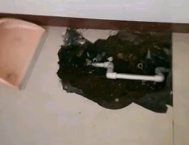聂拉木卫生间测漏水多少钱